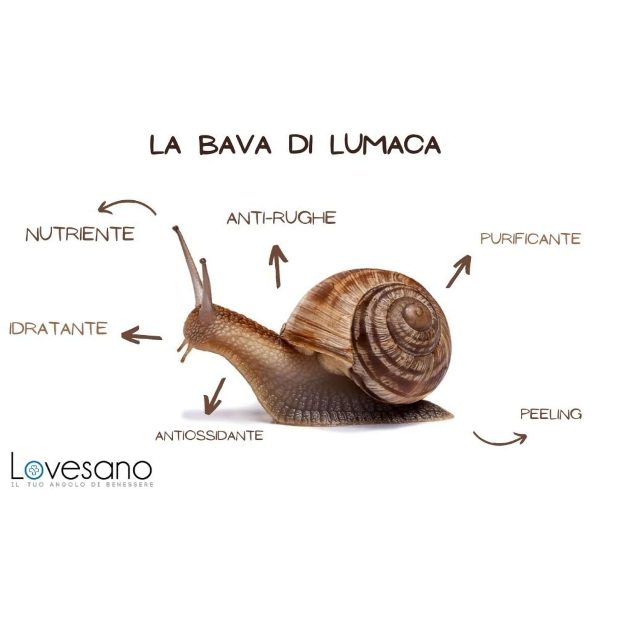 Le 6 proprietà della bava di lumaca