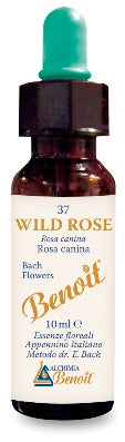Fiori Di Bach Benoit Wild Rose 10 Ml - Lovesano