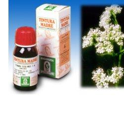 VALERIANA 36 TM 50ML - Lovesano