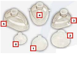 MASCHERA PALL SIL RIANIM 3 PBPHA - Lovesano