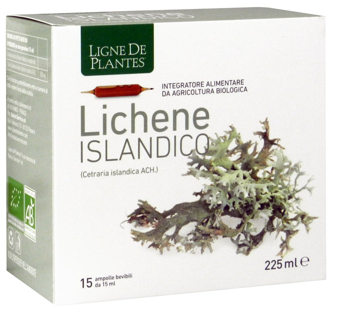 LICHENE ISLANDICO 15AMPX15ML - Lovesano