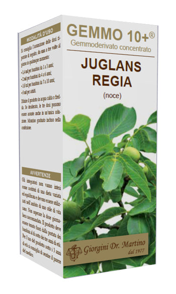 NOCE 100ML ANALCO GEMMO 10+ - Lovesano