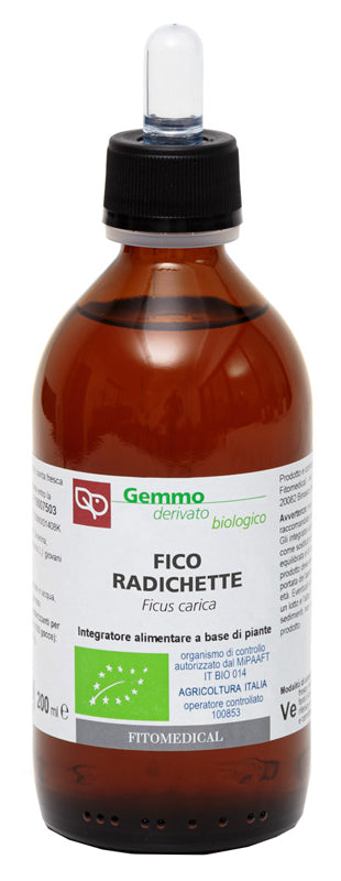 FICO RADICHETTE MG BIO 200ML - Lovesano