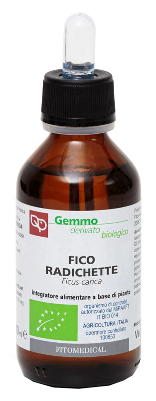 FICO RADICHETTE MG BIO 100ML - Lovesano