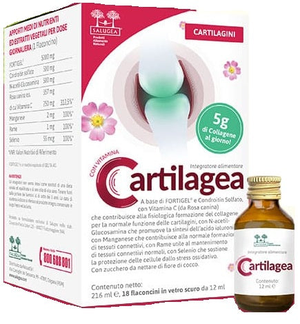 CARTILAGEA SALUGEA 18FL - Lovesano