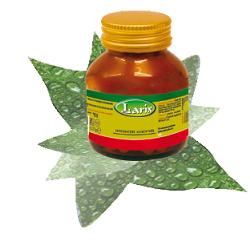 CARTILAGINE DI SQUALO 60CPS - Lovesano