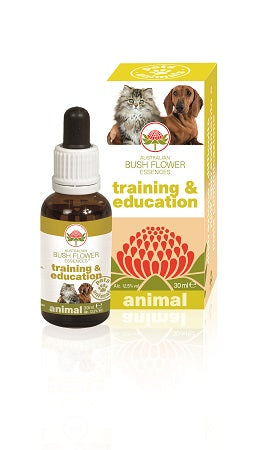 TRAINING & EDUCATION 30ML - Lovesano