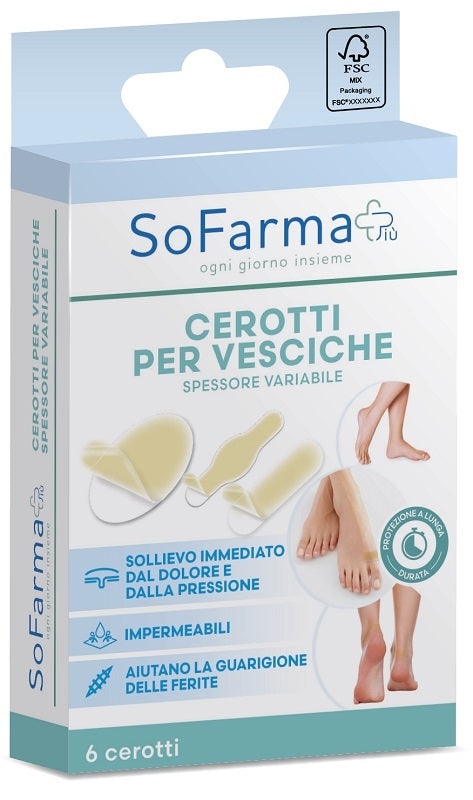 CEROTTO VESCICA ASS SF - Lovesano