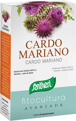 CARDO MARIANO 40CPS - Lovesano