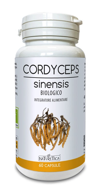 CORDYCEPS SINENSIS 60CPS - Lovesano
