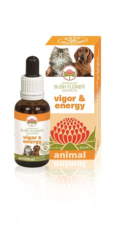 V BUSH PET VIGOR & ENERGY 30ML G - Lovesano