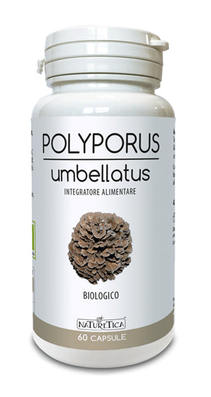 POLYPORUS UMBELLATUS 60CPS - Lovesano