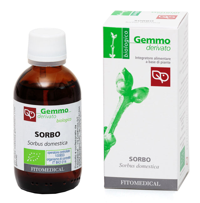 SORBO BIO 50ML - Lovesano