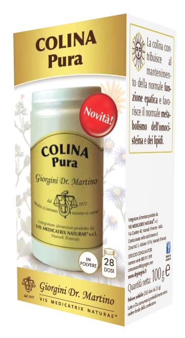 COLINA PURA POLVERE SOLUB 100G - Lovesano