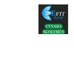 CYNARA E.F. EFIT - Lovesano 