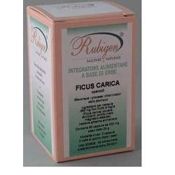 FICUS CARICA 60CPS - Lovesano