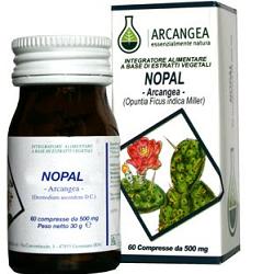 Nopal 60 Capsule 500 Mg - Lovesano
