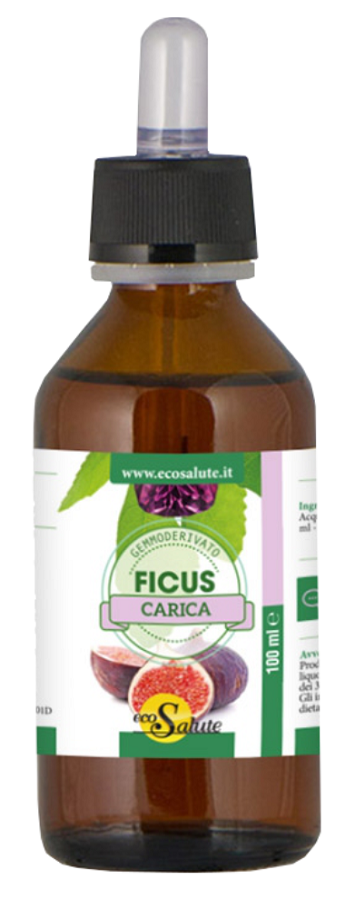 FICUS CARICA MG GTT 100ML - Lovesano