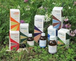 Raemil Propoli Composto 15 Ml - Lovesano