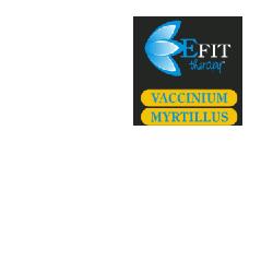 VACCINUM MIRT E.F. EFIT 30ML - Lovesano