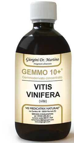 VITE ANAL.GEMMO 10+ 100ML GIORGI - Lovesano