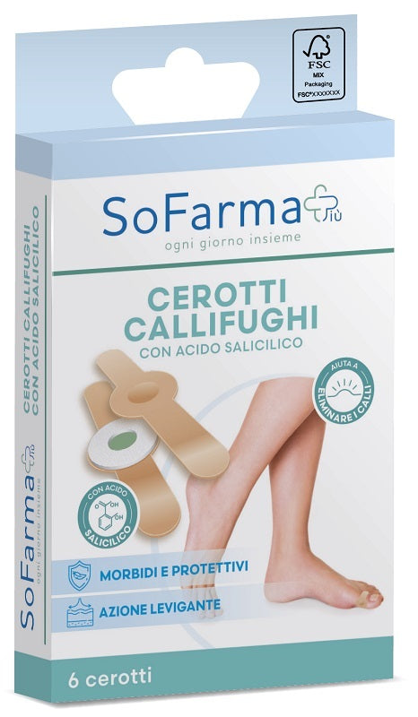CEROTTO CALLIFUGHI TONDO 6PZ SF+ - Lovesano