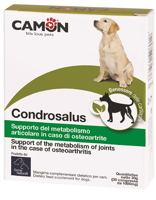 V CONDROSALUS 60 CPR G879 - Lovesano