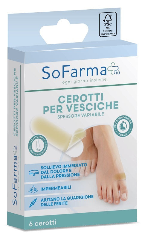 CEROTTO VESCICA PICCOLO 6PZ SF+ - Lovesano