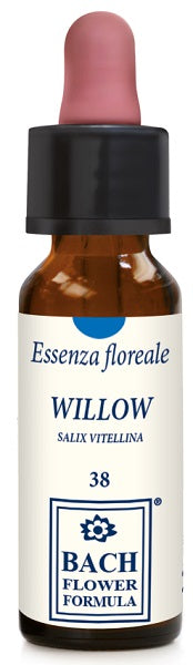 WILLOW ORIGINAL 10ML GTT - Lovesano