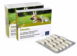 V ARTOSALUS 60 CPR G876 - Lovesano