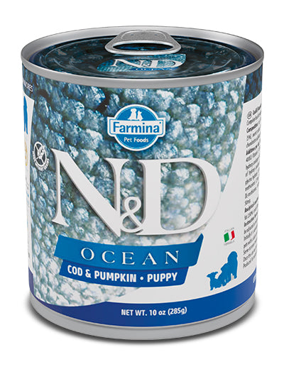V N&D DOG OCEAN COD&PUMP PUPPY 2 - Lovesano