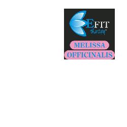MELISSA EF EFIT 30ML - Lovesano