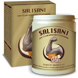 SALISANI VITAMINSPORT 360G POL - Lovesano