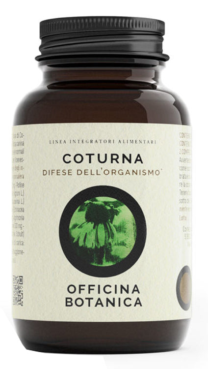 COTURNA 50CPS - Lovesano