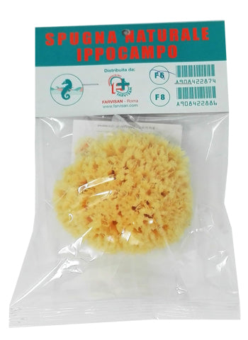 Spugna Naturale Ippocampo 6 - Lovesano
