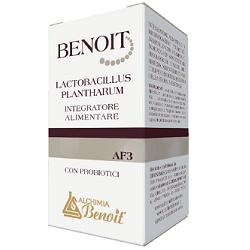 BENOIT LACTOBACILLUS PLANTHARU - Lovesano