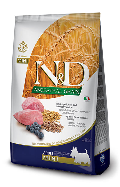 V N&D AC CAN LAMB&BLUE AD MI2,KG - Lovesano