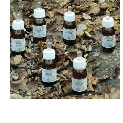 KA2 OLIO MASS 100ML ALCHEMICA - Lovesano