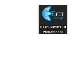 HARPAGOPHYTUM PROC ESTR FL30ML - Lovesano