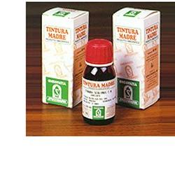 Pungitopo 24 50ml Tm - Lovesano