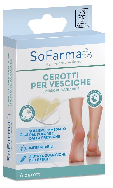 CEROTTO VESCICA OVALI 6PZ SF+ - Lovesano