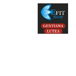 GENTIANA E.F. EFIT 30ML - Lovesano