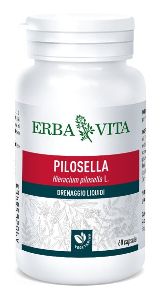 PILOSELLA 60CPS 400MG EBV< - Lovesano