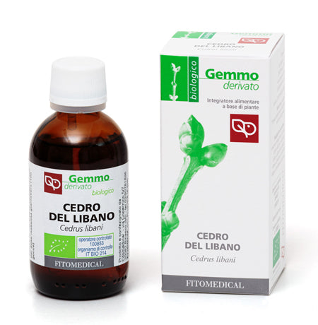 CEDRO DEL LIBANO MG BIO 50ML - Lovesano