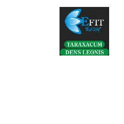 TARAXACUM E.F. EFIT 30ML - Lovesano