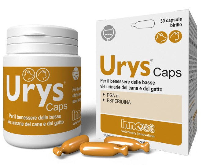 URYS CAPS 30CPS - Lovesano