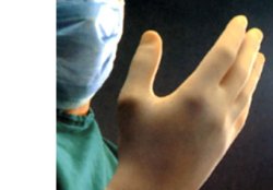 GUANTO CHIR LATT STER 8 - Lovesano