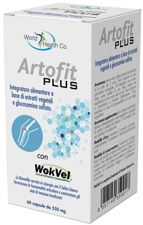 ARTOFIT PLUS 60CPS - Lovesano