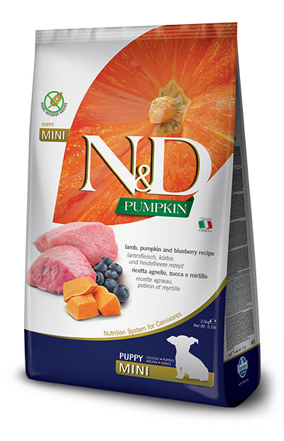 V N&D GF PUPPY MINI AGNEL/ZUCCA/ - Lovesano