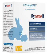 Dynamo R 20 Stick Da 2,5 G
